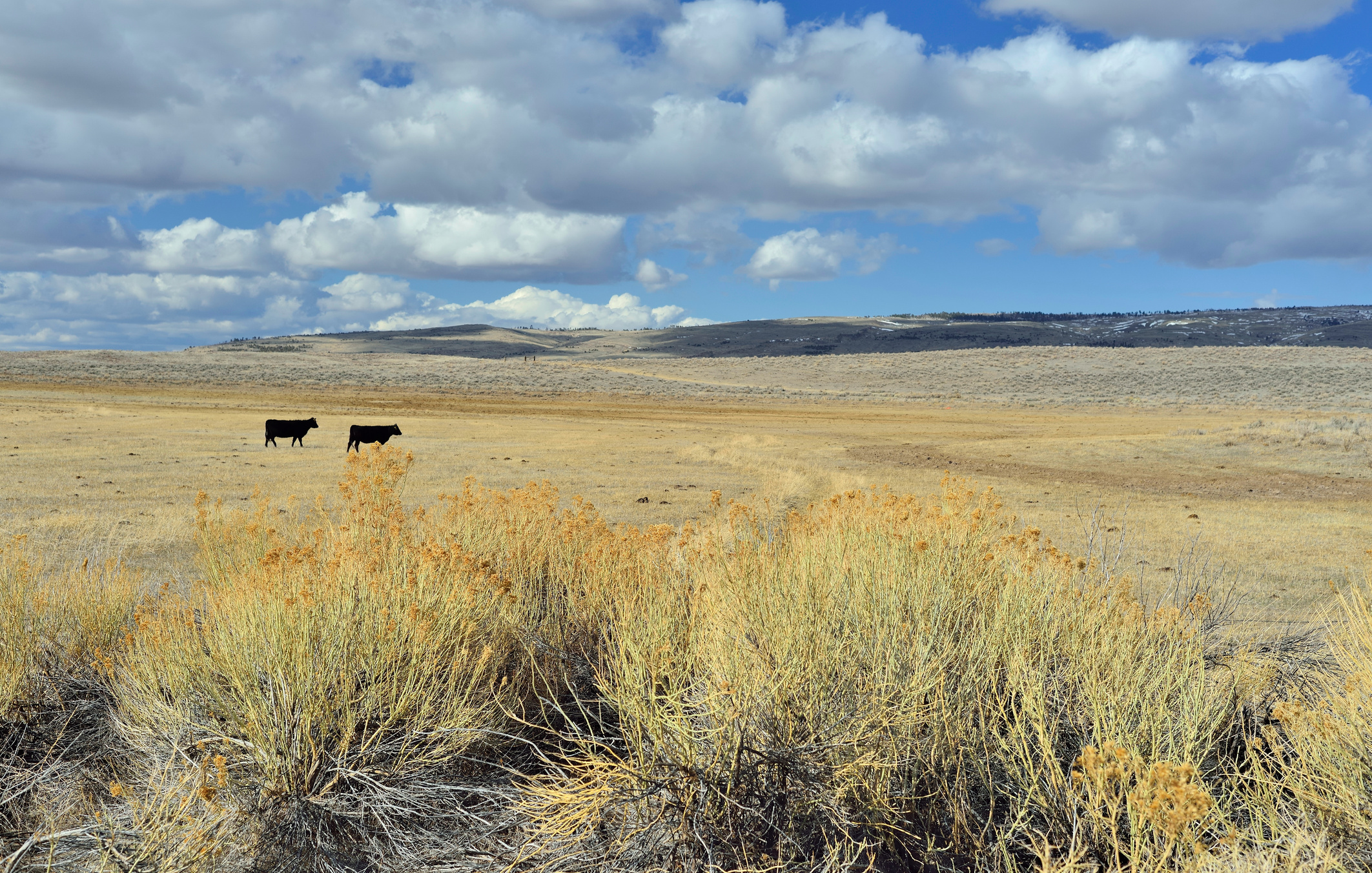 Wyoming Ranch