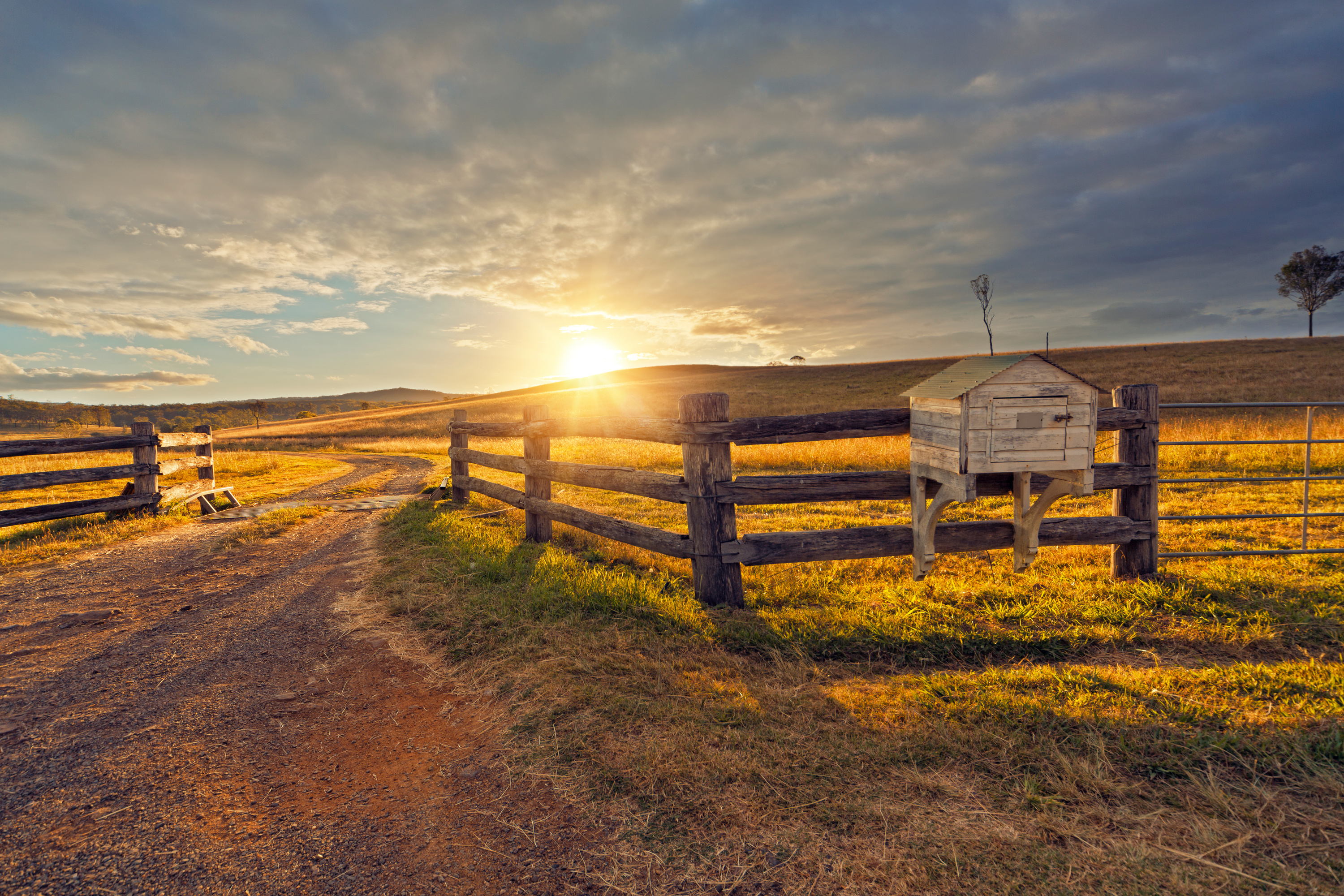 Rustic Ranch